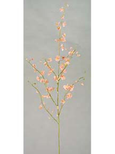 Picture of 34" DANCING ORCHID SPRAY X7