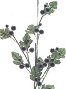 Picture of 27" GRAPE SPRAY X 33