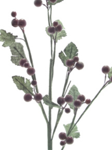 Picture of 27" GRAPE SPRAY X 33