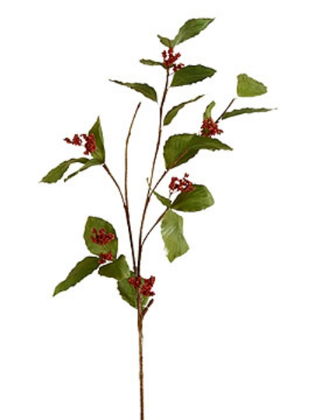 Picture of BERRY SPRAY