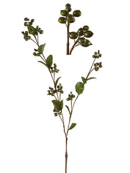 Picture of BARBERRY SPRAY