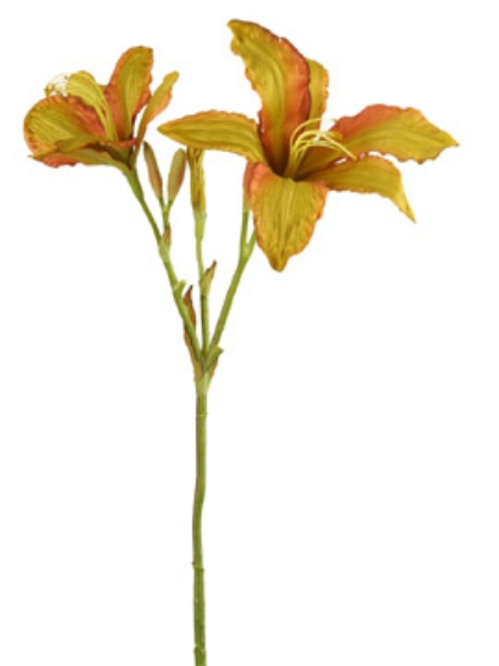 Picture of DAY LILY SPRAY 36"