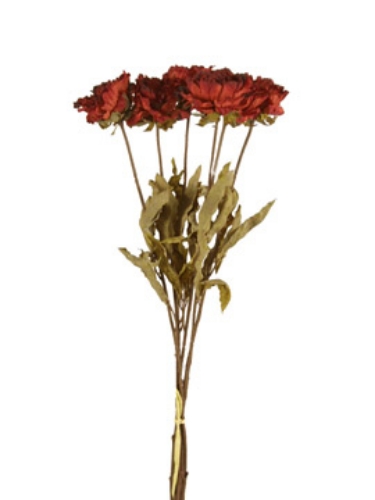 Picture of DRIED PEONY, SINGLE, 25"
