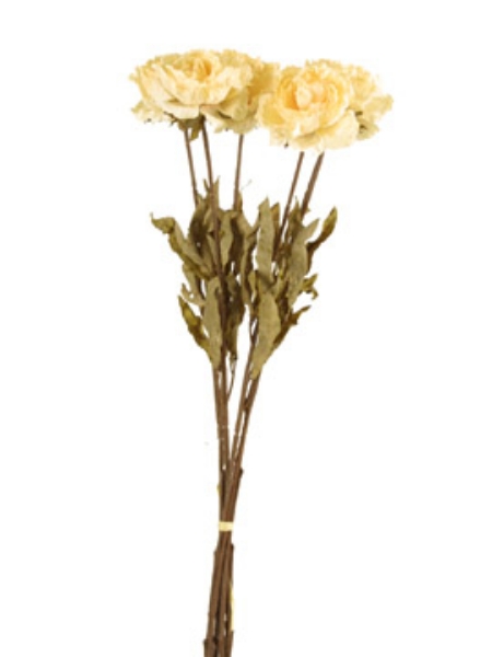 Picture of DRIED PEONY, SINGLE, 25"