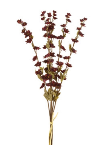 Picture of DRIED LARKSPUR SPRAY, 25"