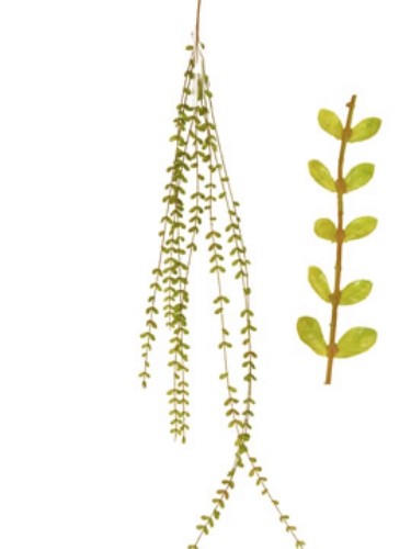 Picture of BRANCH X7