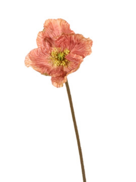 Picture of 27" POPPY SPRAY