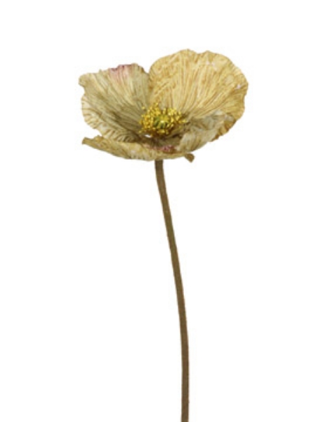 Picture of 27" POPPY SPRAY