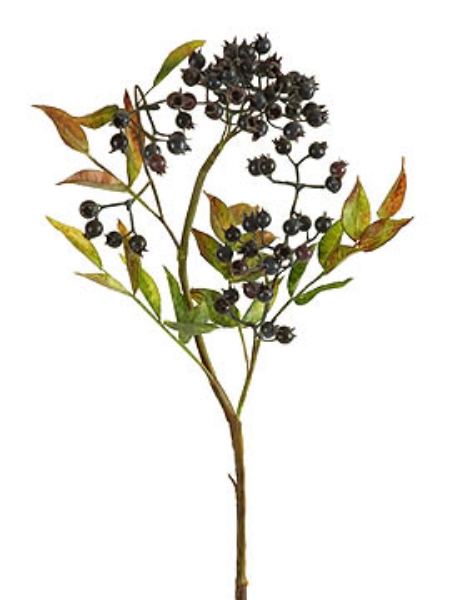 Picture of MEDLAR BERRY SPRAY