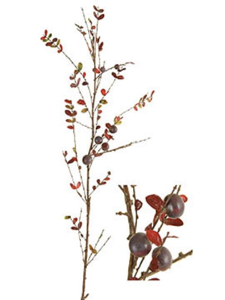 Picture of PLUM BERRY BRANCH LG