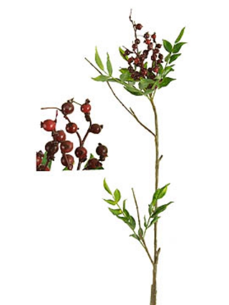 Picture of BERRY SPRAY