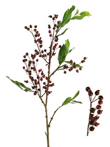 Picture of BERRY SPRAY