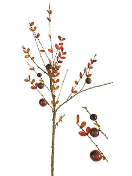 Picture of PLUM BERRY BRANCH SM