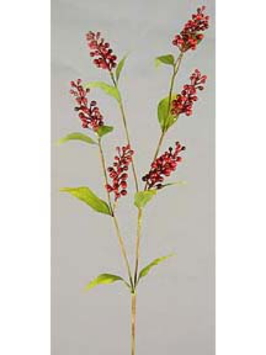 Picture of 30" POKE BERRY SPRAY