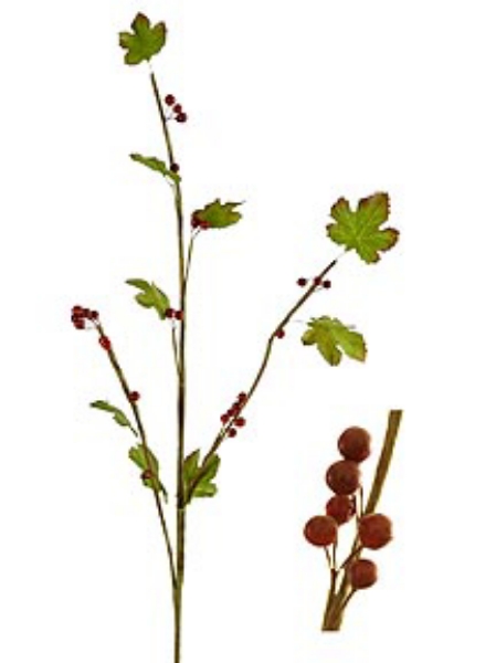 Picture of BERRY SPRAY