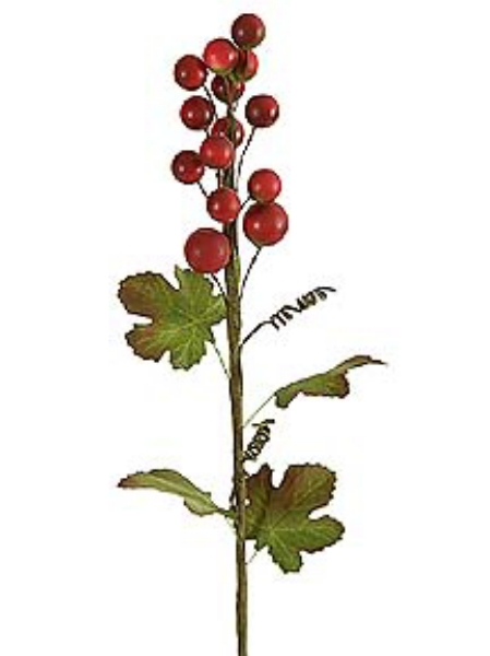 Picture of BERRY SPRAY