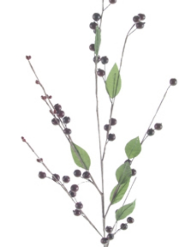 Picture of BERRY SPRAY