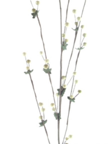 Picture of BERRY SPRAY