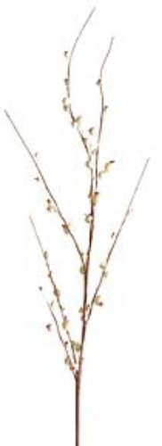 Picture of BERRY SPRAY