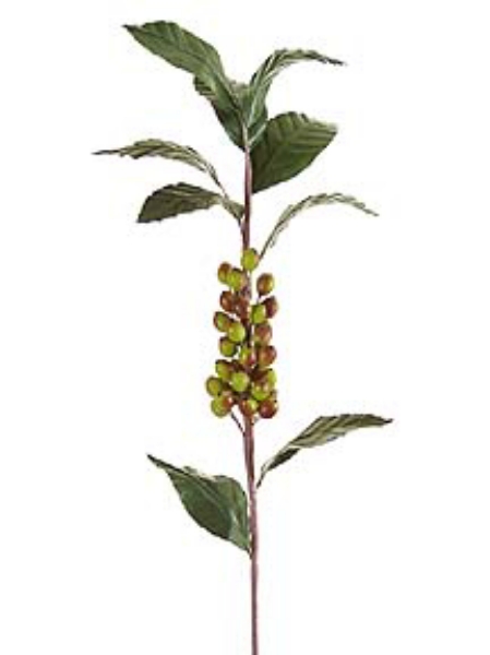 Picture of BERRY STEM