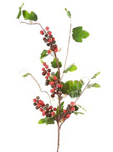 Picture of BERRY SPRAY