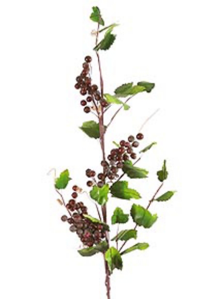 Picture of BERRY SPRAY