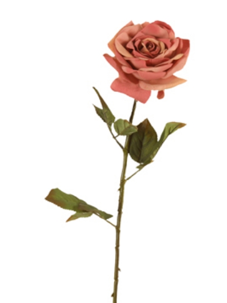 Picture of ROSE STEM