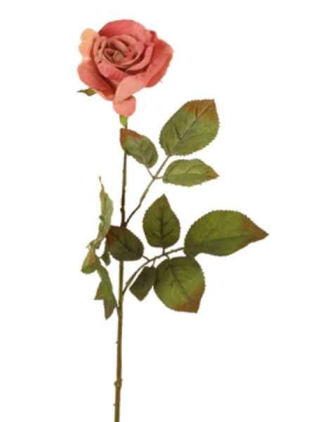 Picture of ROSE STEM