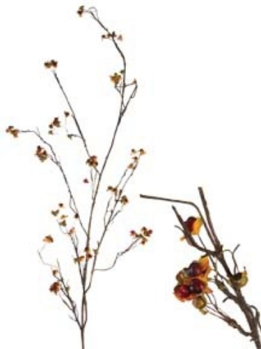 Picture of 50" SWEET BITTER BERRY SPRAY