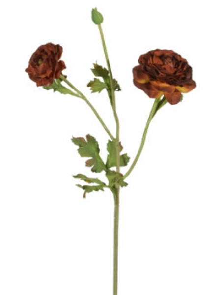 Picture of RANUNCULUS SPRAY L