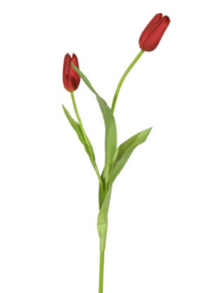 Picture of TULIP BUD SPRAY-RD