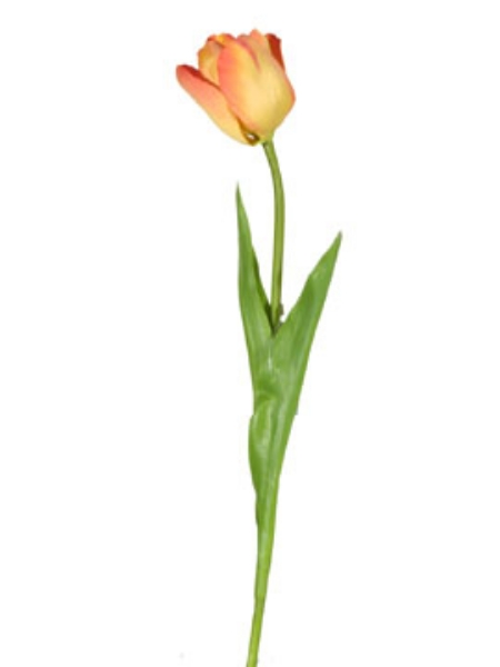 Picture of DUTCH TULIP SPRAY-PC