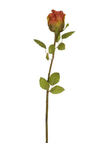 Picture of ROSE BUD 22.5"