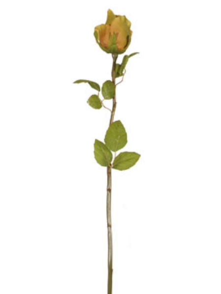 Picture of ROSE BUD 22.5"