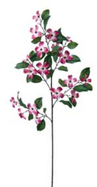 Picture of DOGWOOD SPRAY - MV