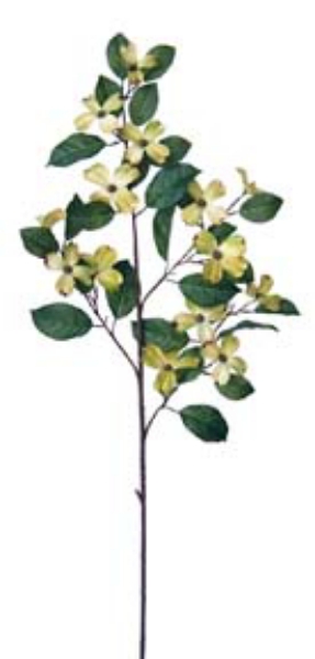 Picture of DOGWOOD SPRAY - GR