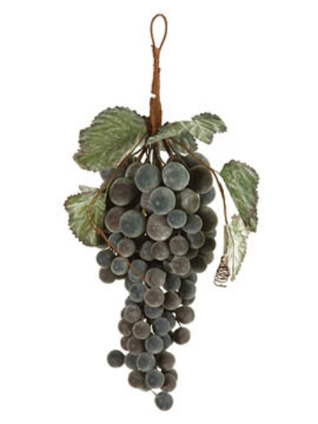 Picture of GRAPES-GAINT