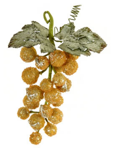 Picture of GRAPE CLUSTER X 20 W/2 LVS