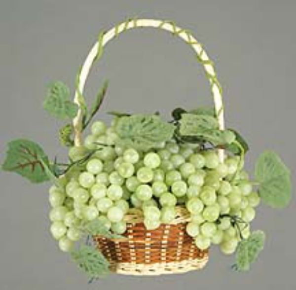 Picture of GRAPEX60 WITH BASKET