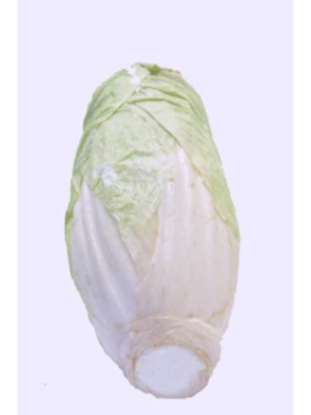 Picture of CHINESE CABBAGE