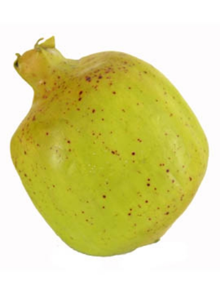 Picture of POMEGRANATE