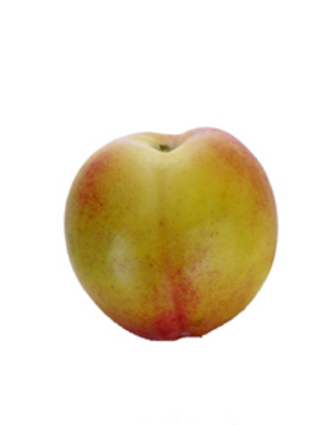 Picture of NECTARINE