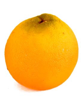 Picture of BIG ORANGE