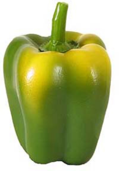 Picture of 4" BELL PEPPER-WEIGHTED