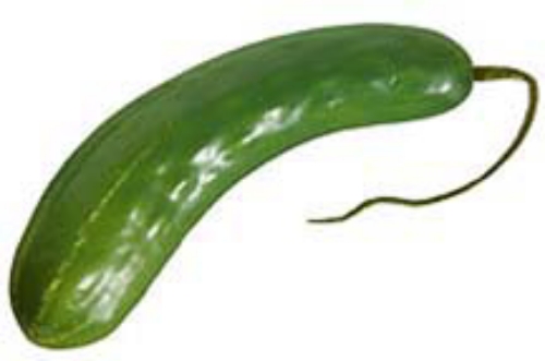 Picture of 5-3/8" CUCUMBER