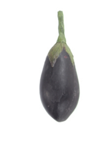 Picture of EGGPLANT