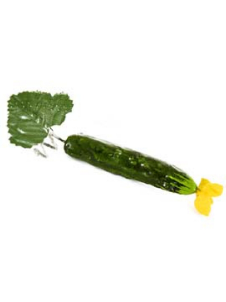 Picture of CUCUMBER