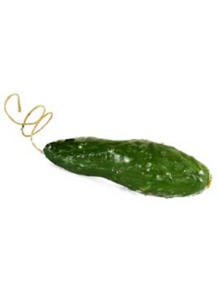 Picture of CUCUMBER