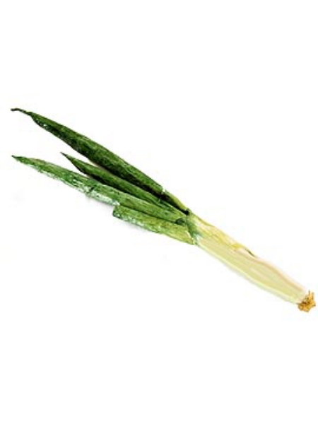 Picture of 20" LEEK BUNCH