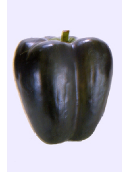 Picture of 4" BELL PEPPER